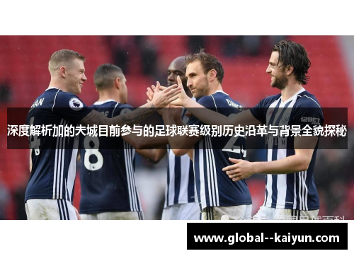 深度解析加的夫城目前参与的足球联赛级别历史沿革与背景全貌探秘