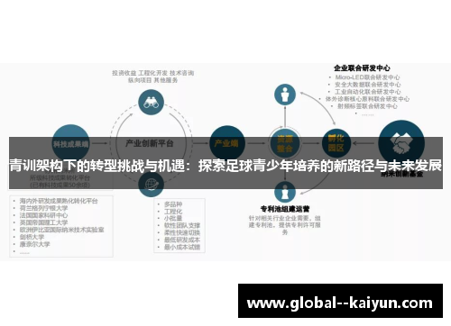 青训架构下的转型挑战与机遇：探索足球青少年培养的新路径与未来发展